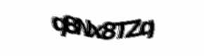 Security check image, please type the characters shown